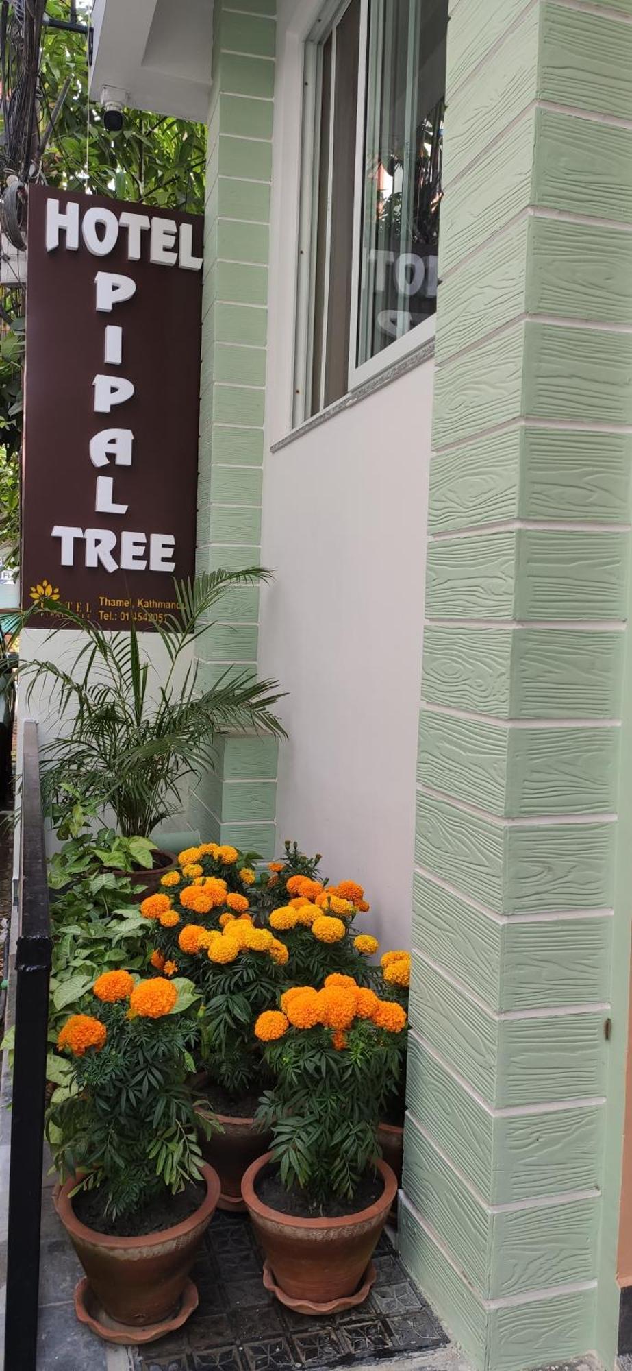 Hotel Pipal Tree Katmandú Exterior foto